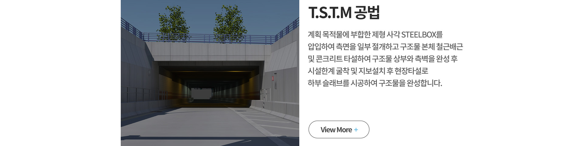 T.S.T.M ����