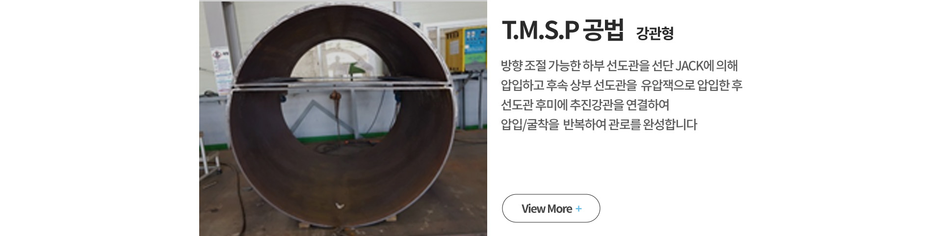 T.M.S.P ���� ������