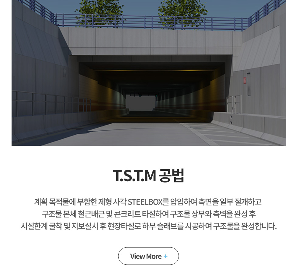 T.S.T.M ����