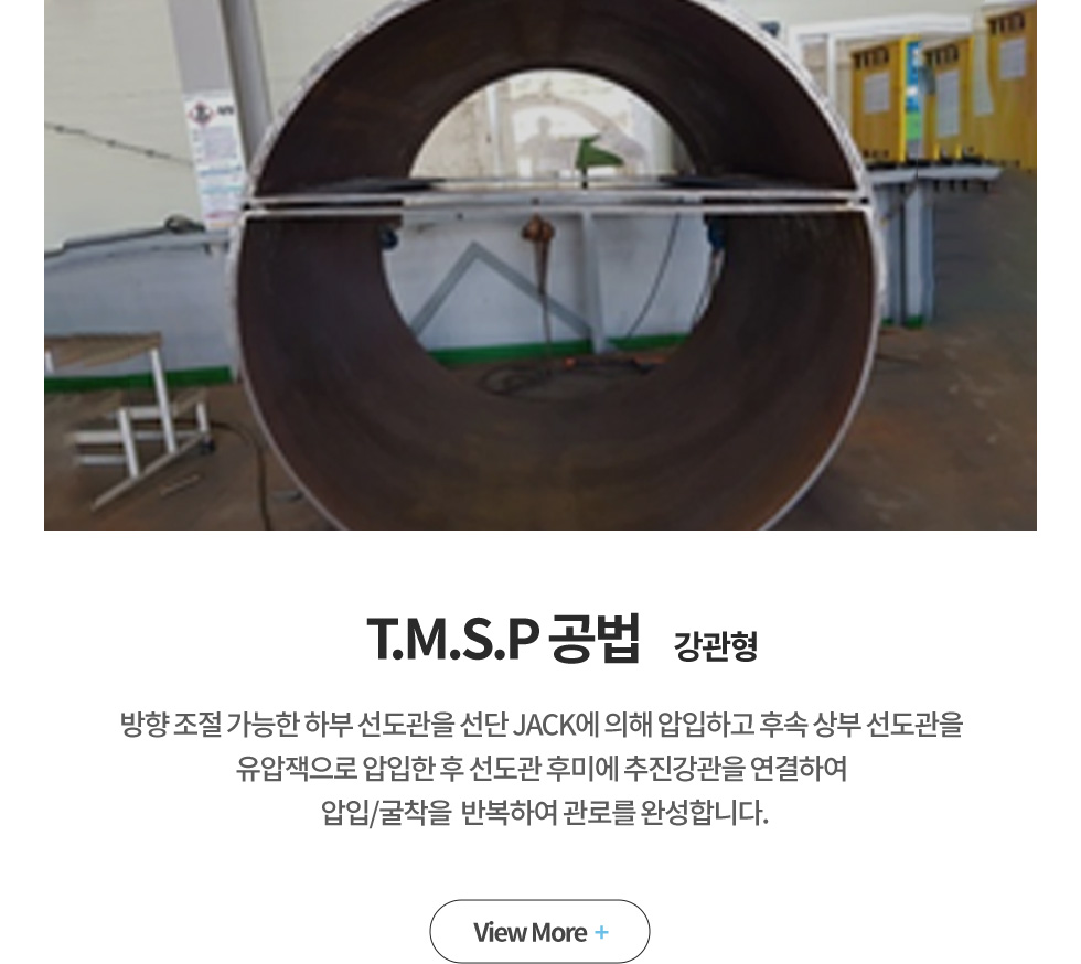 T.M.S.P ���� ������